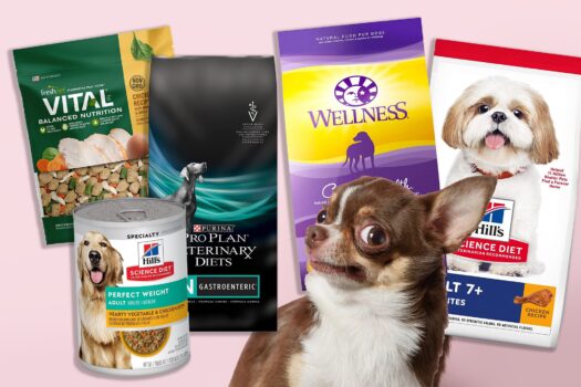 10 Best Dog Foods