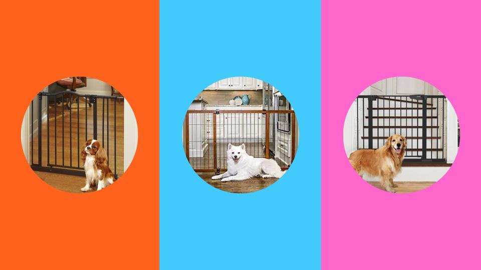 10 Best Dog Gates